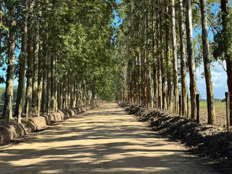 fb075757 9587 4d91 8780 015dd01d3b50